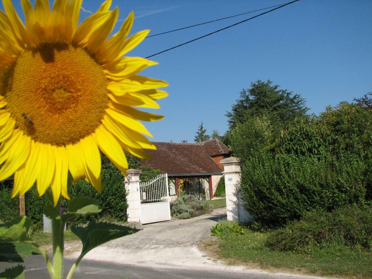 Chambourg-sur-Indre Le Clos Du Petit Marray Bed & Breakfast エクステリア 写真